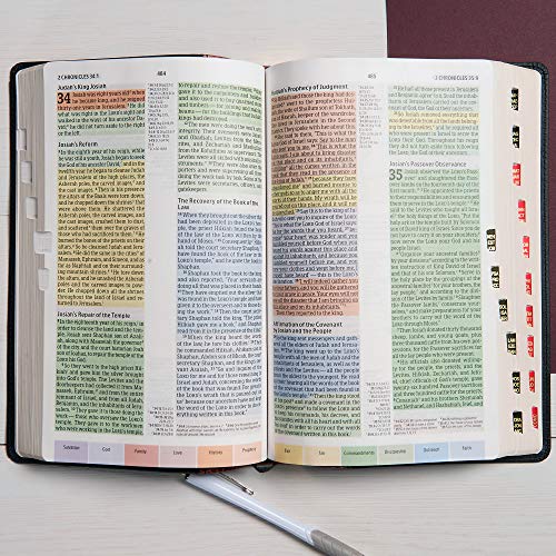 CSB Rainbow Study Bible, Hardcover