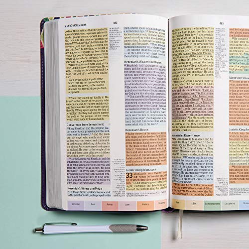 CSB Rainbow Study Bible, Hardcover