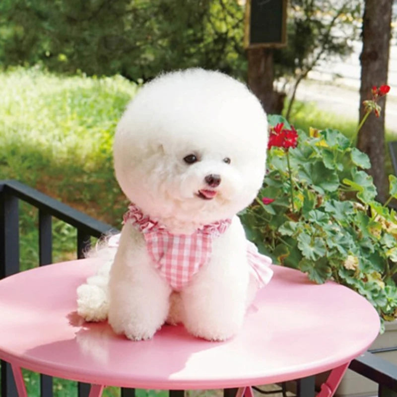 Yellow Skirt for Dogs Poodle Dress Summer Clothes for Puppy Breathable Sun Protection Clothing for Pets Fashion Pet Products