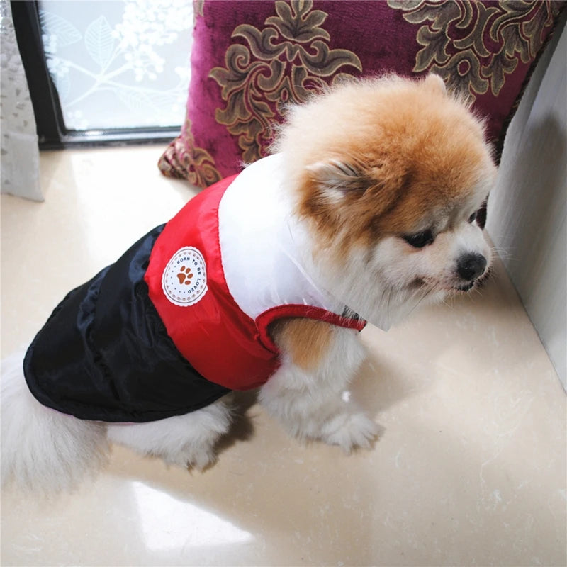 Pet Clothes For Dogs Thicken Warm Winter Puppy Pet Cat Coats Waterproof Dog Jacket Chihuahua Pug French Bulldog Vest Clothing